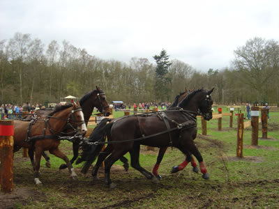 Foto: Wilco van den Top