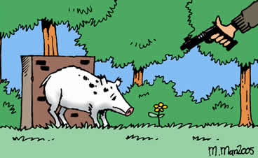 cartoon: SP/M.Man/Nunspeet.Net