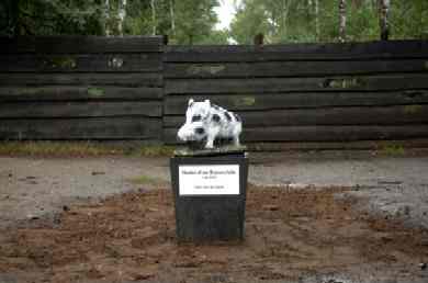 EXCLUSIEVE FOTO': BRAM VAN DE BIEZEN - Nunspeet.Net